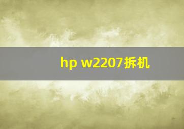 hp w2207拆机